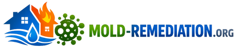 Mold Remediation